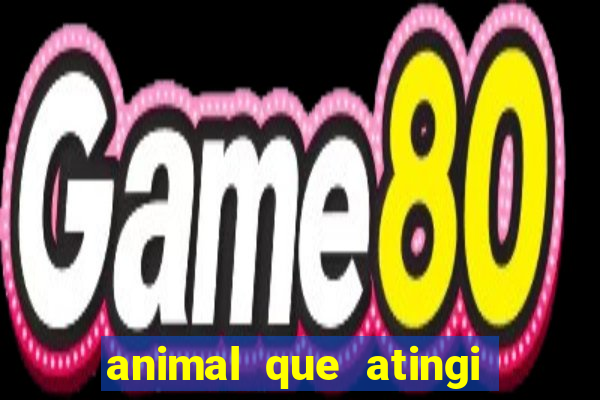 animal que atingi 230 decibeis